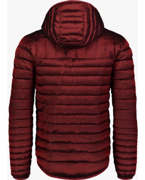Mens winter jacket trunk